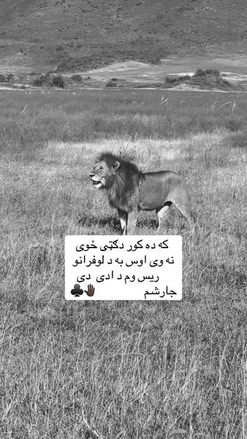 @🥷🏿کــــپــــچــــه🥷🏿