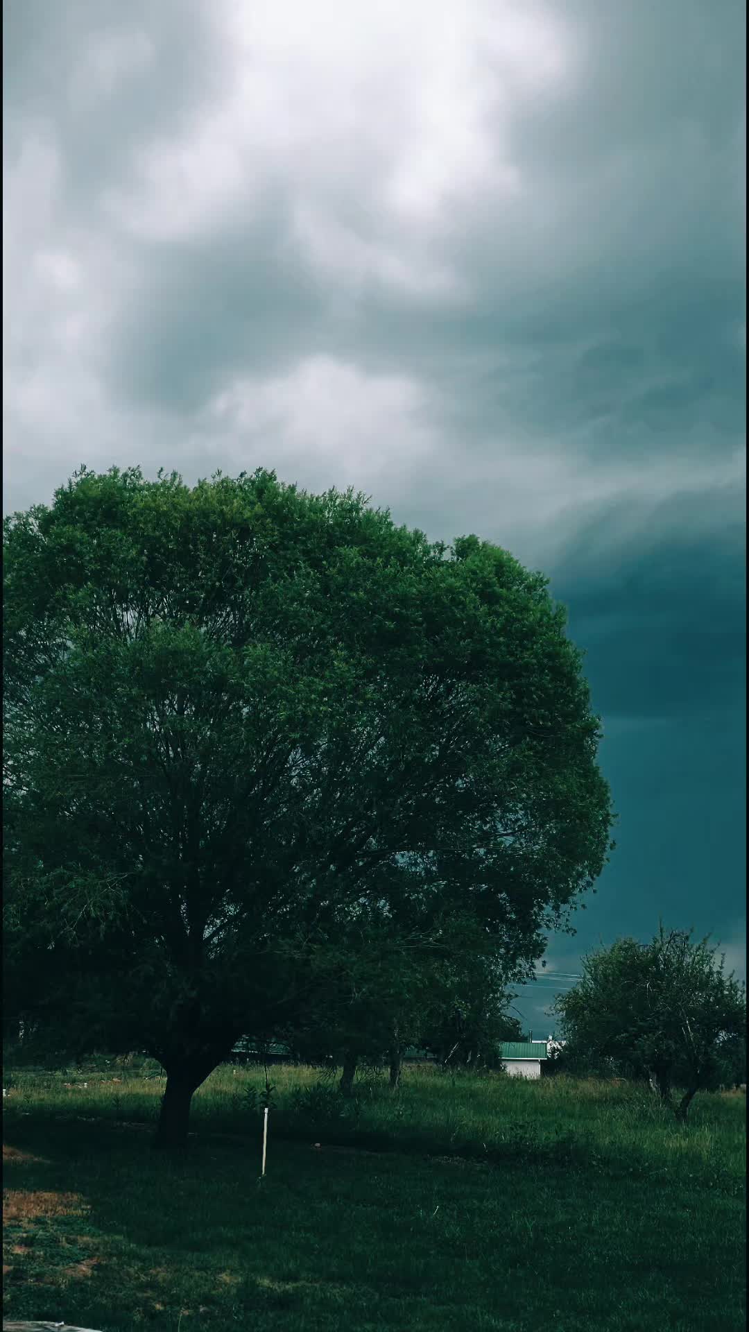 @coupedeville520
