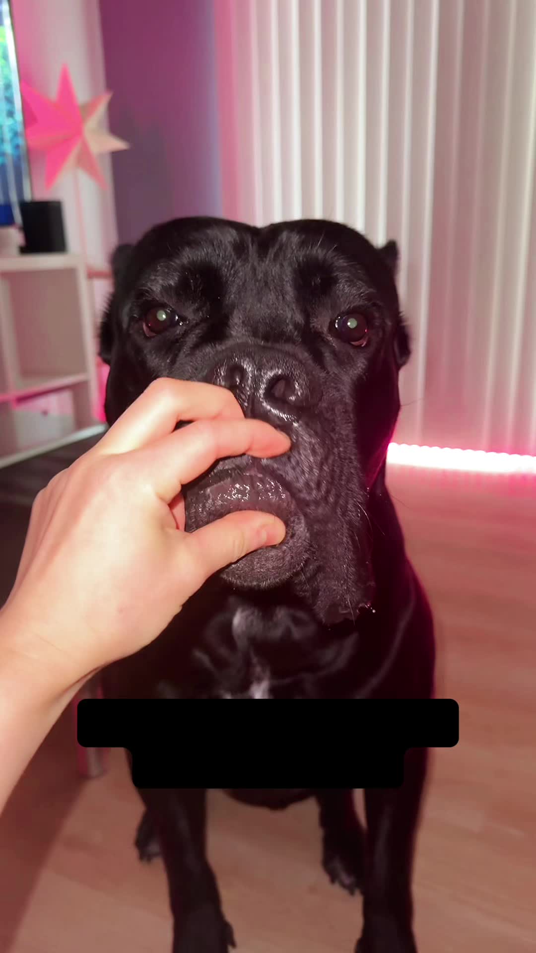 @Bentley Has Issues
