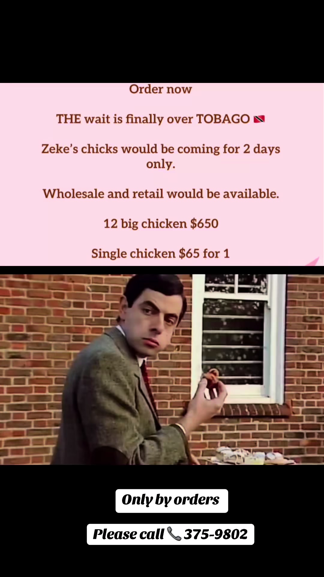 @ZEKE’S chicks