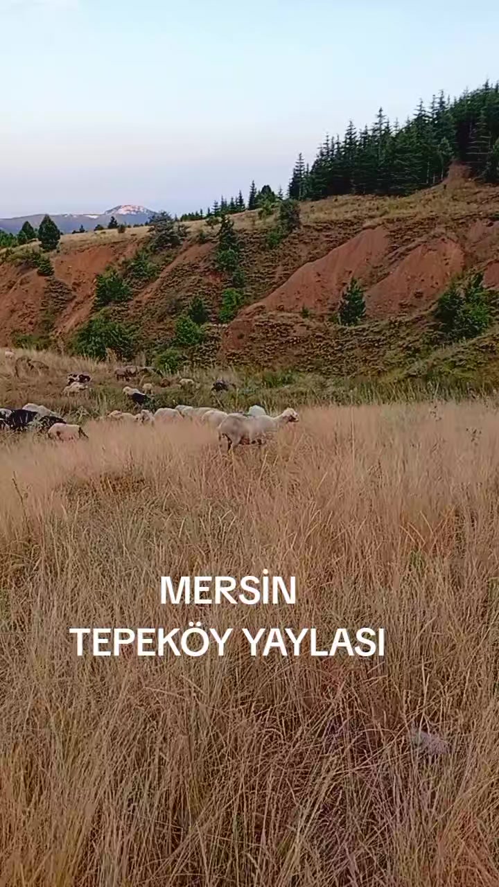 @😍🥰zalımın gızı TEPEK&Ouml;YL&Uuml;😍🥰