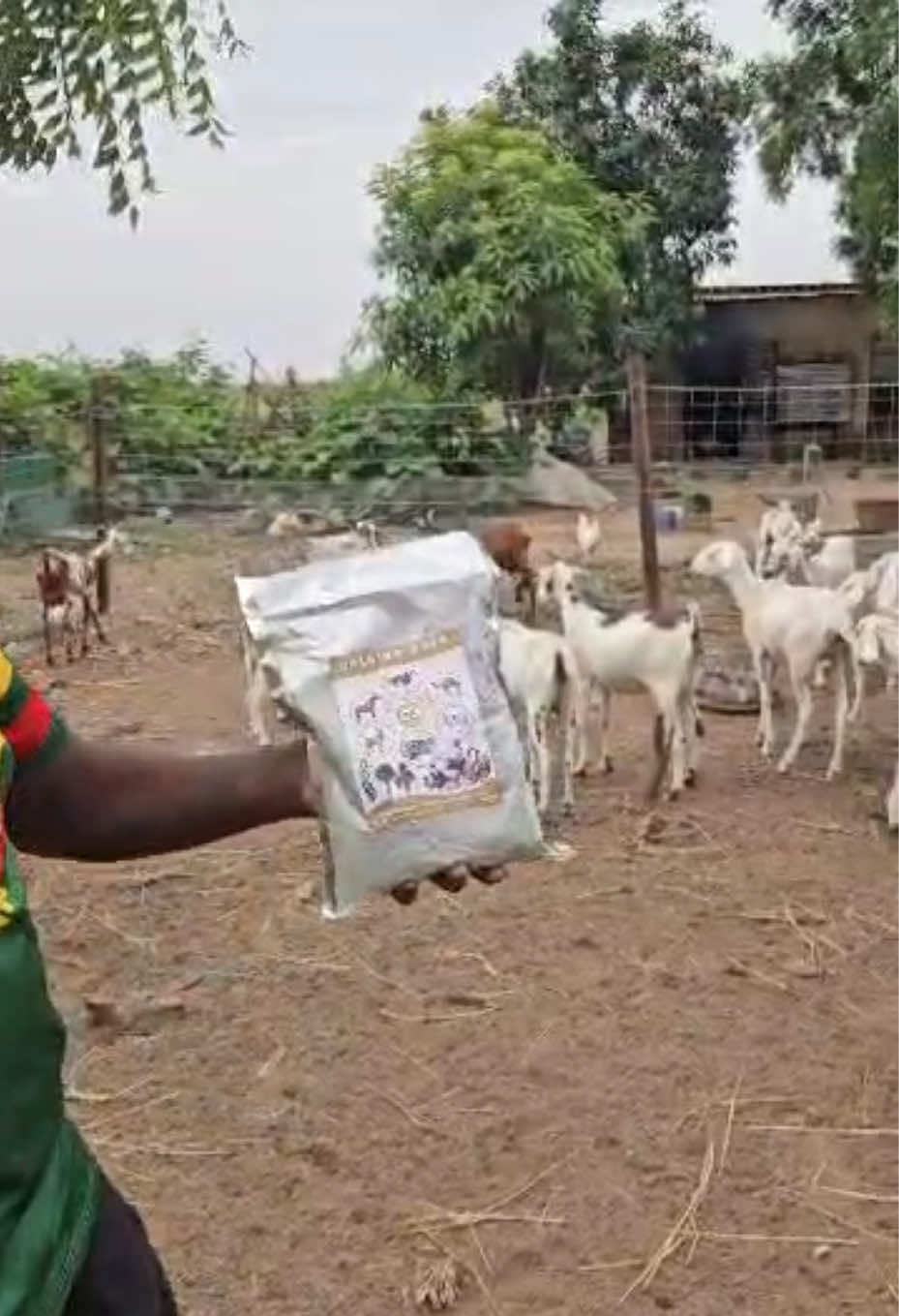@Sambla Farming