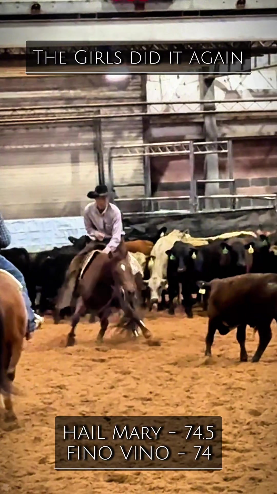 @rtabogacuttinghorses