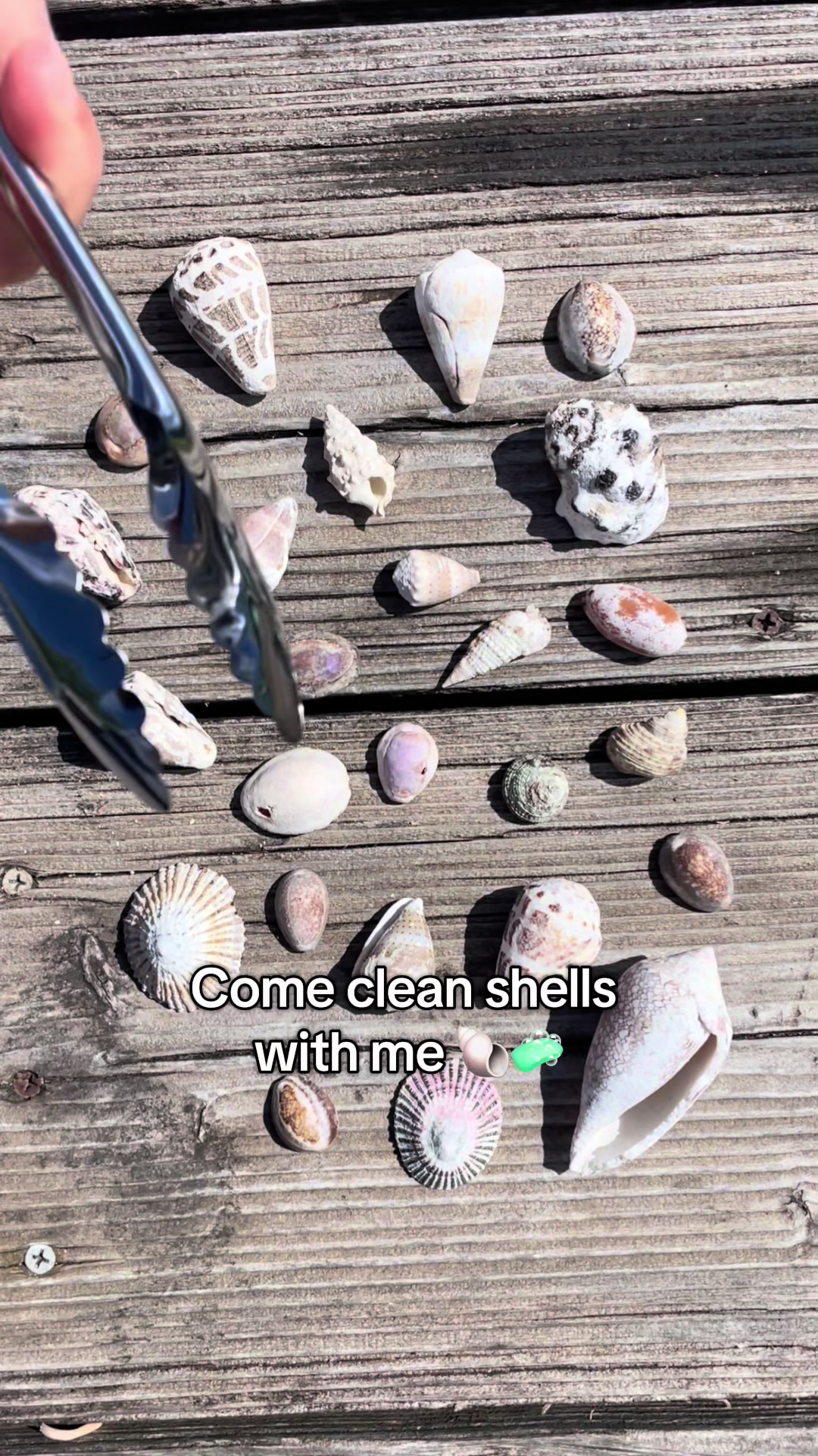 @hishellguy