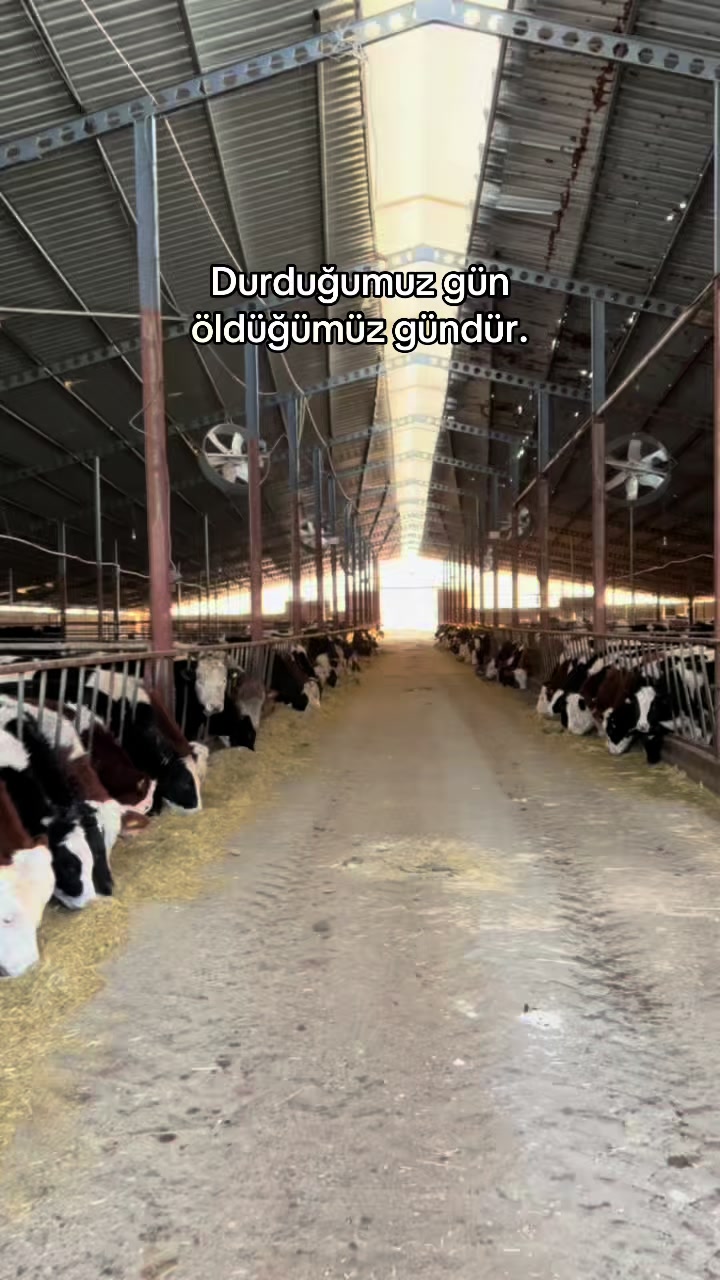 @EMİR AKTAŞ