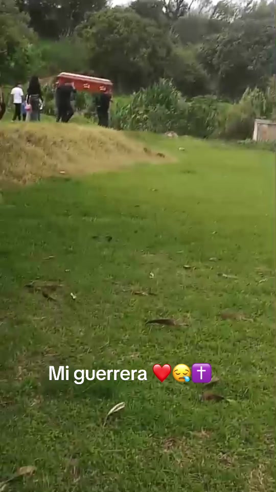 @Rigo Hernández