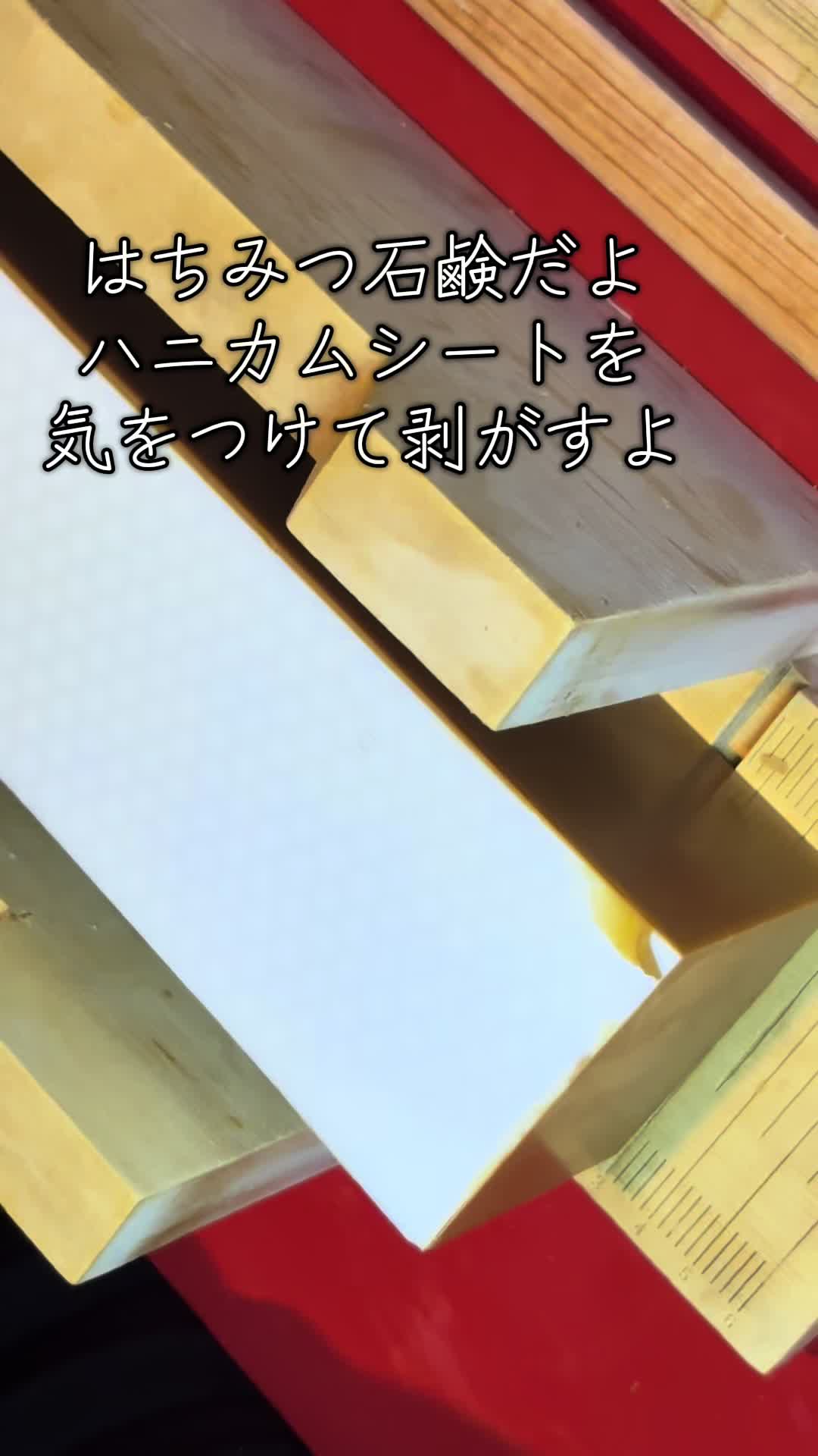 @雪国のシーナ