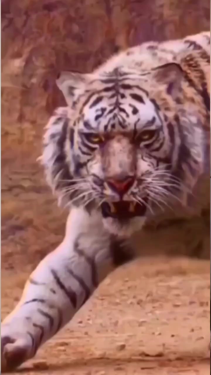 @Ali Raza