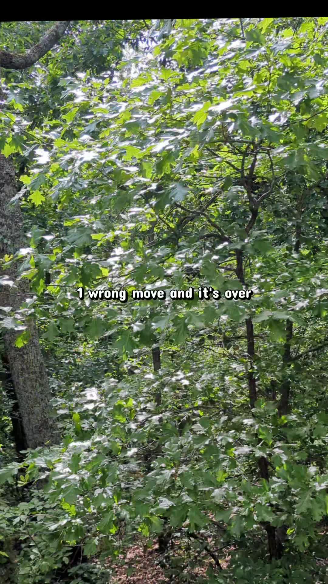 @JoeyMoey