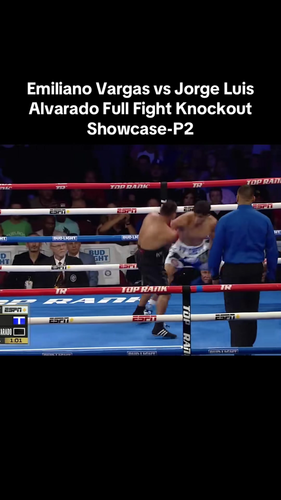@gaubsksnj UFC
