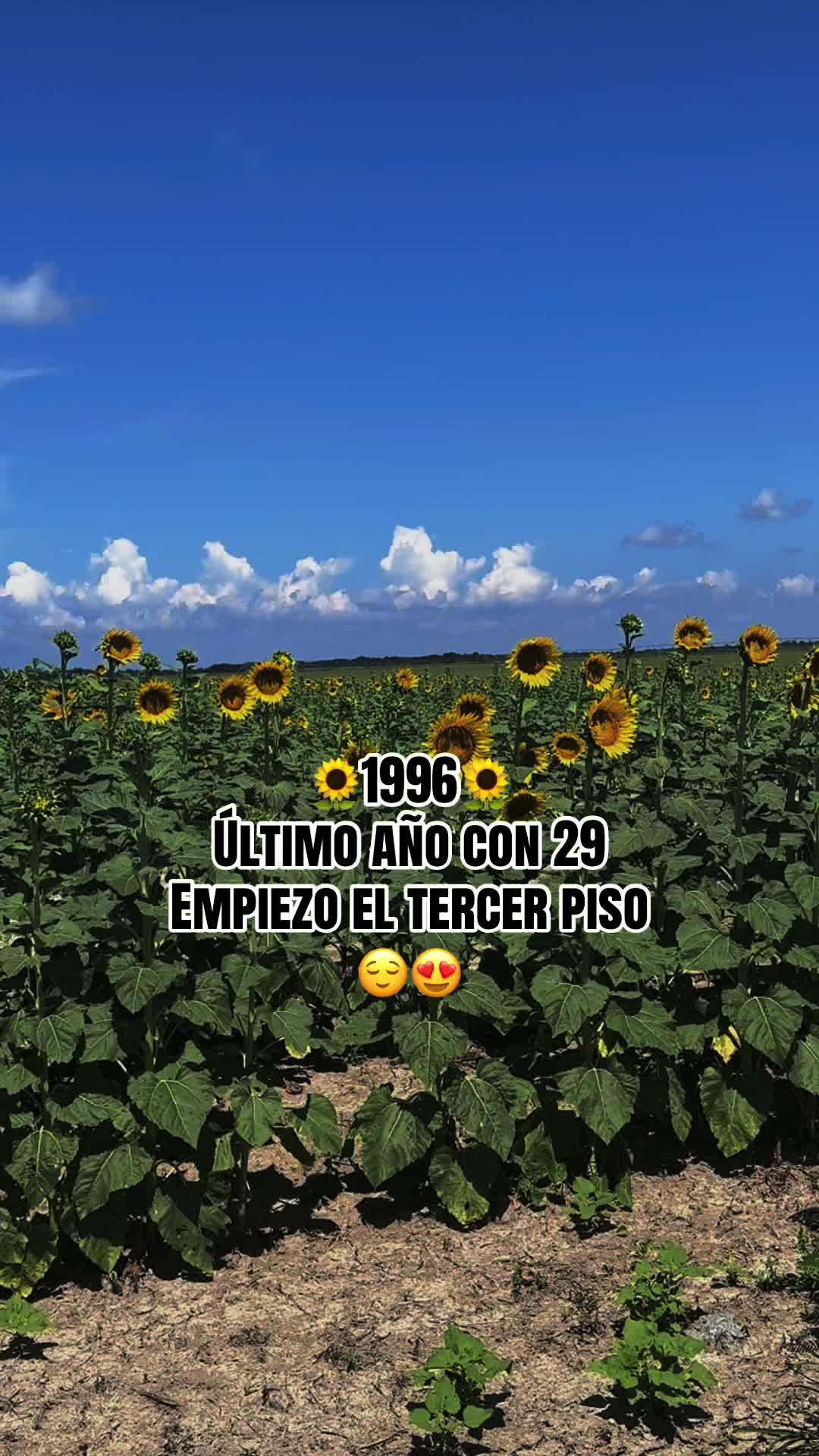 @yessi. cp