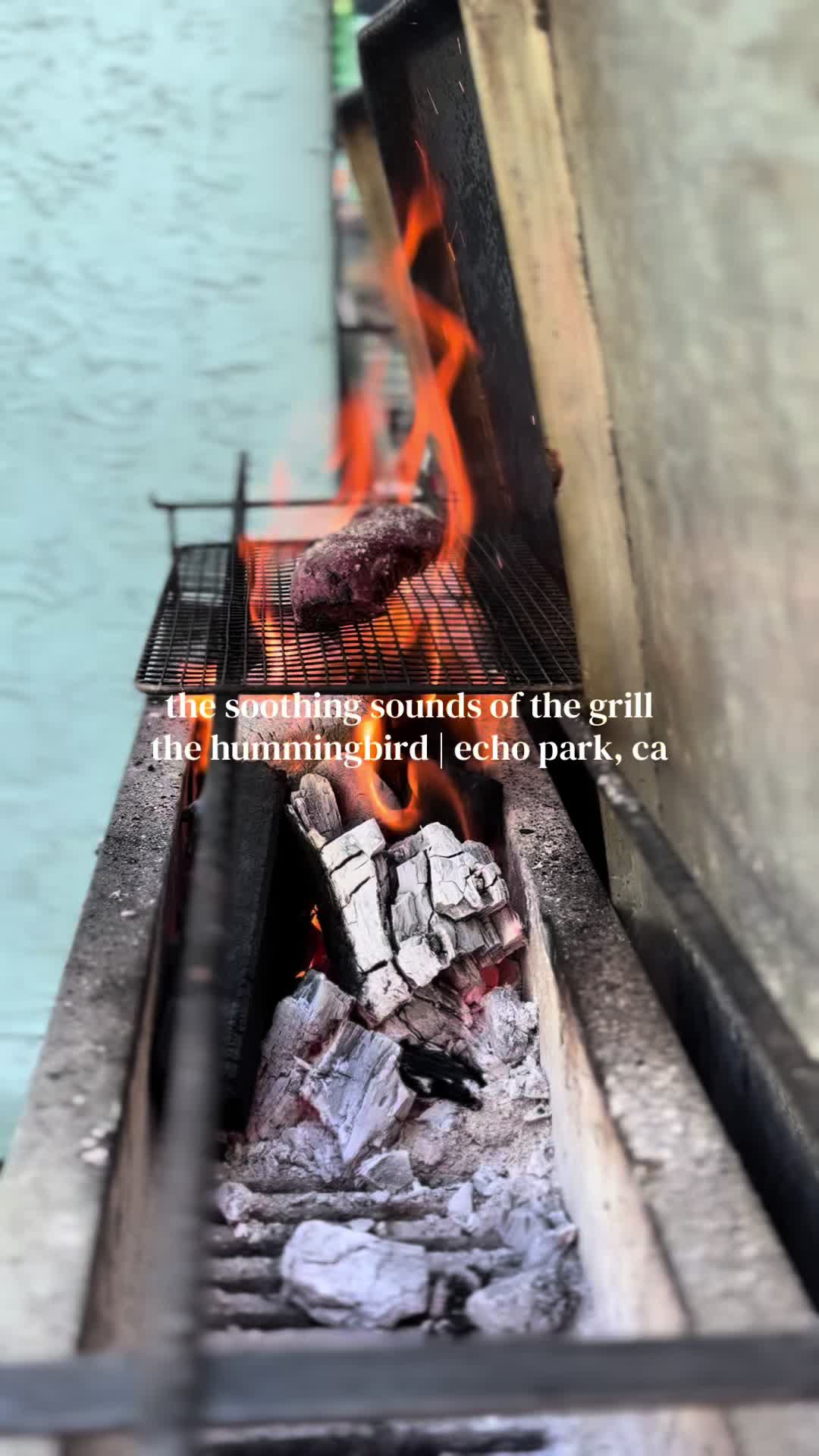 @The Hummingbird