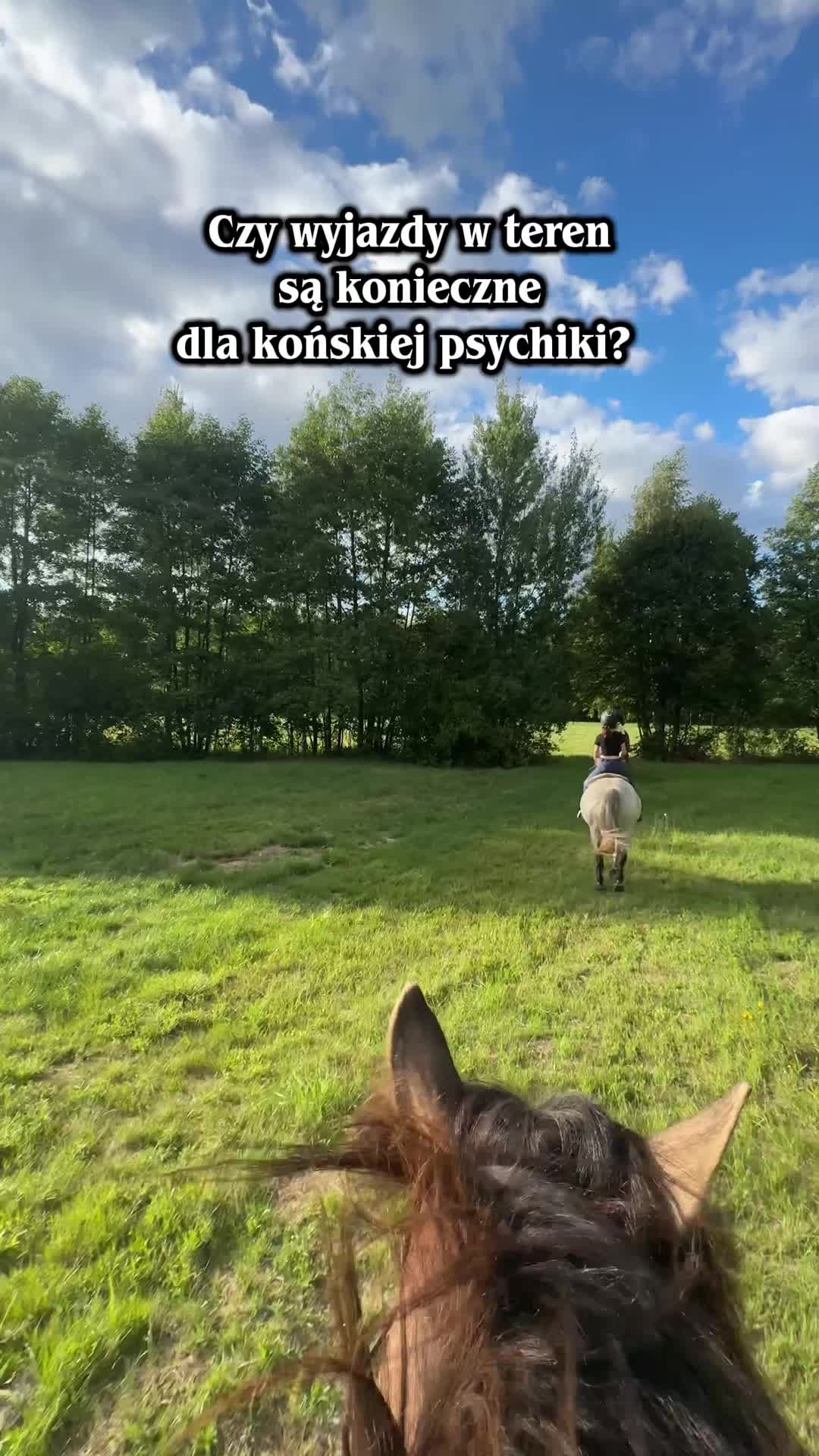 @Weronika Piasecka
