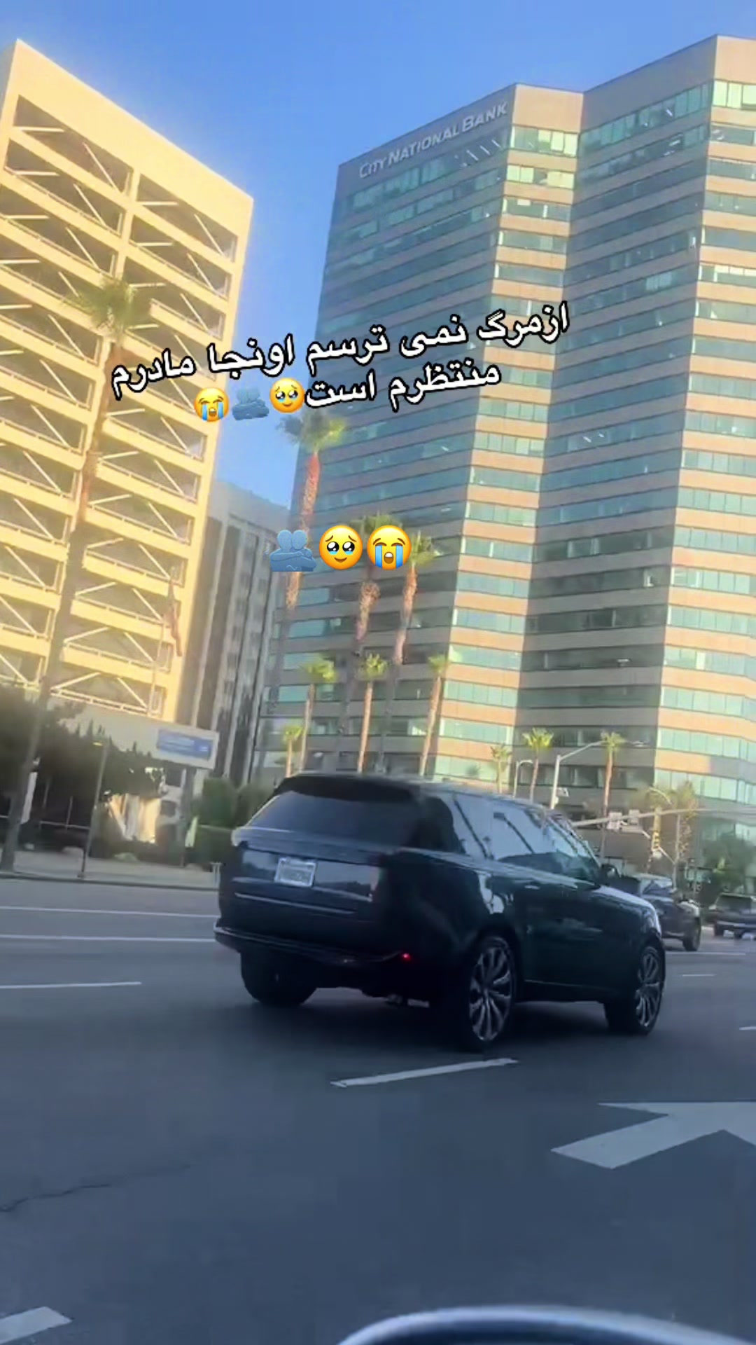 @asaljan0012