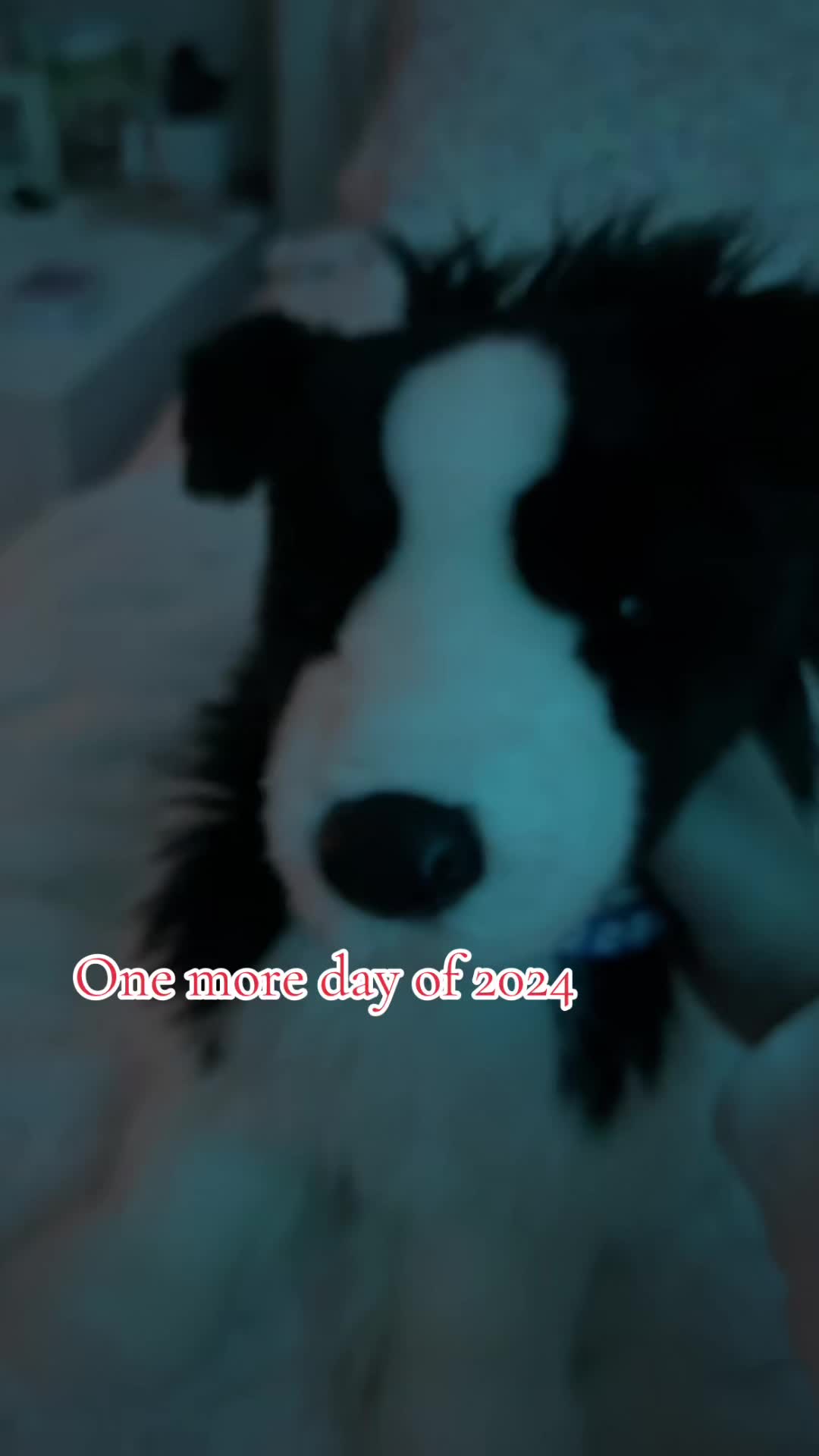 @🎄:)𝓚𝓪𝓽𝓮:)🎄