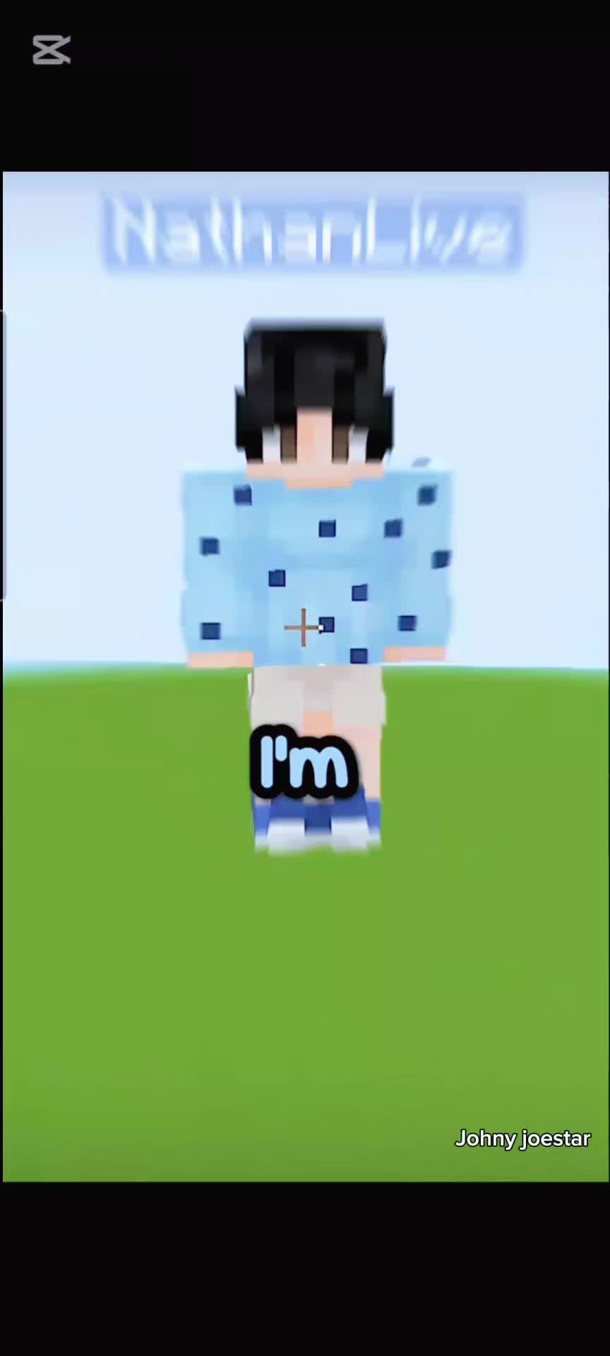 @Johny Joestar