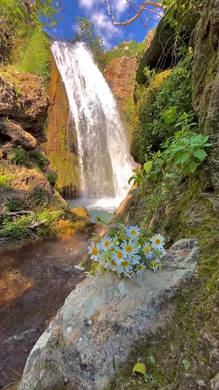 @Sindbad.mu