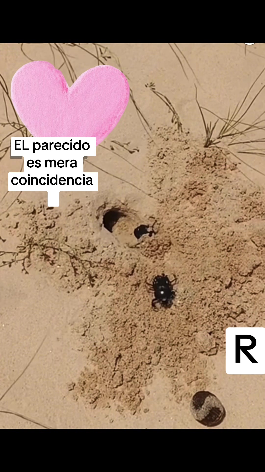 @Rodriguez