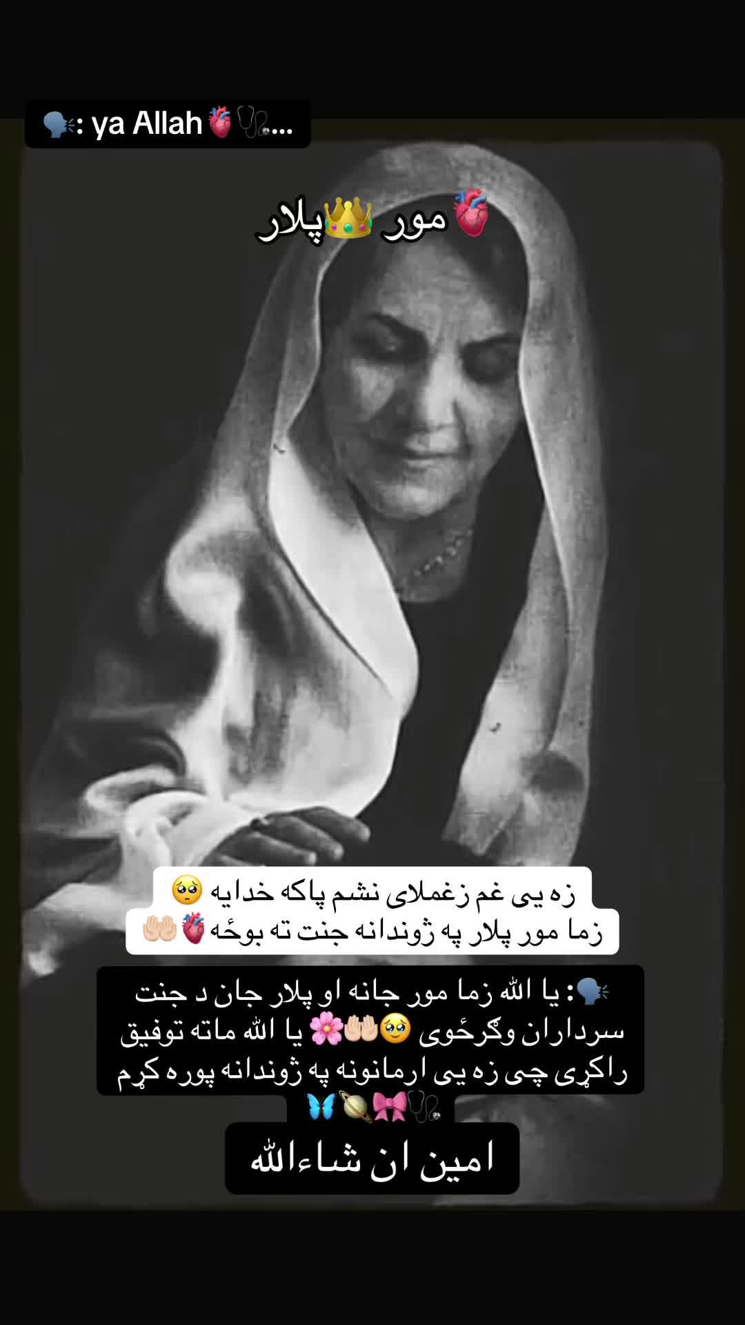 @👑🩺~Jannat~🤍🦋🇺🇸