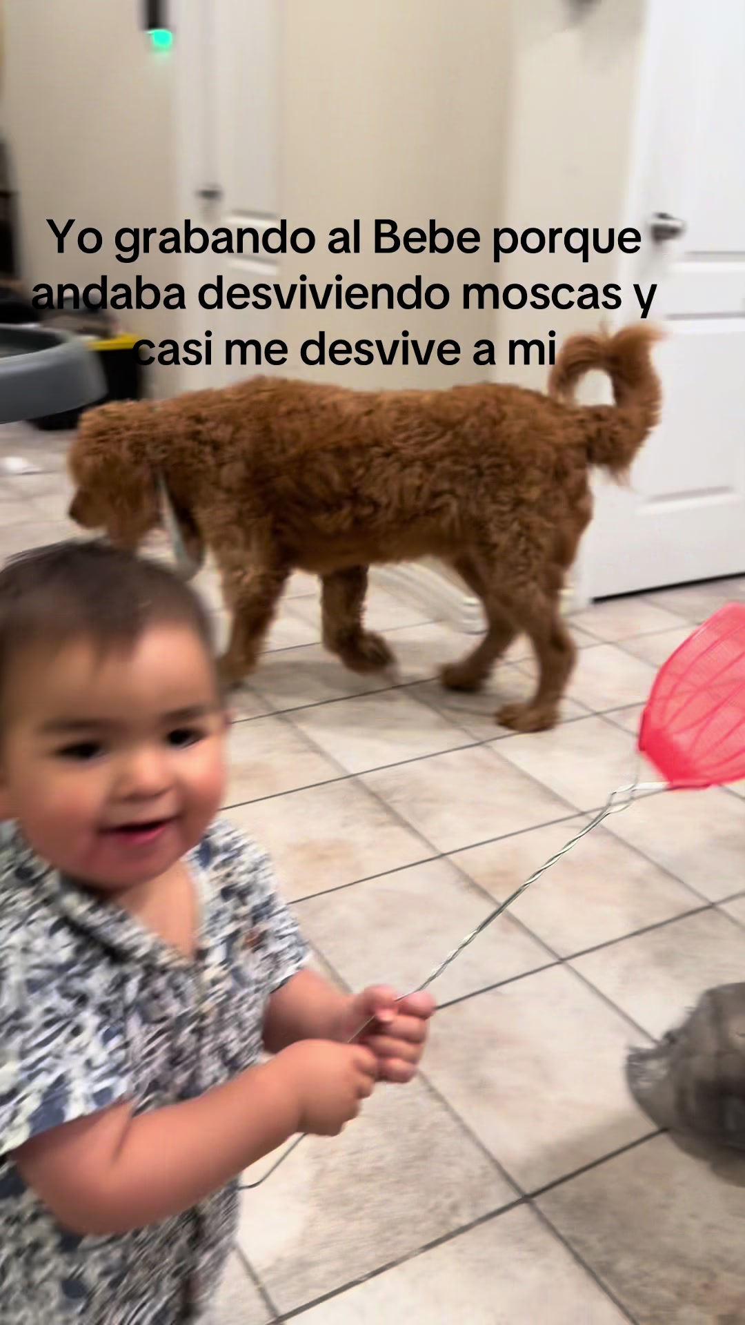 @Karla Vega