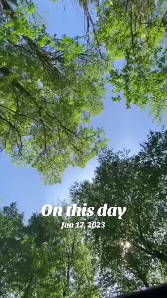 @MHFSAVV💎💎💎