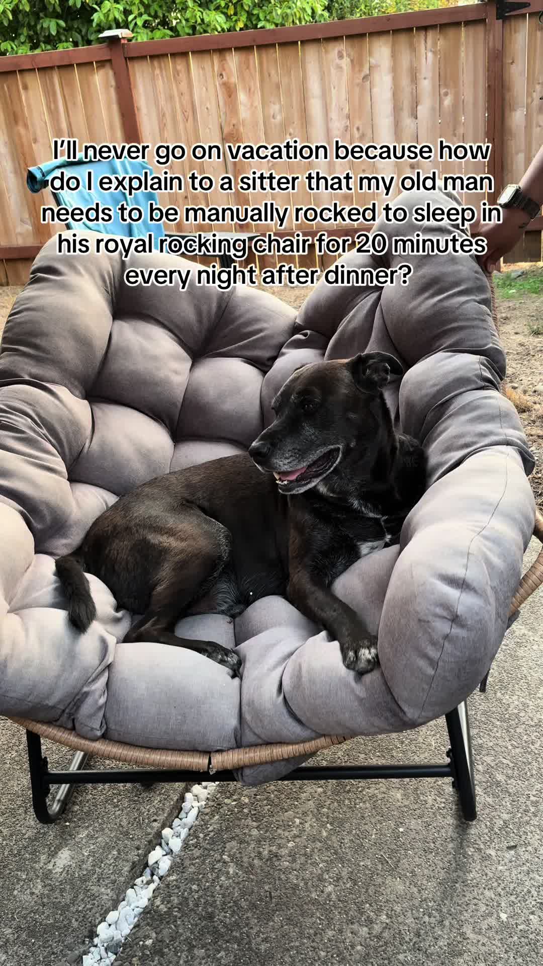 @kai•thedogmother🐾