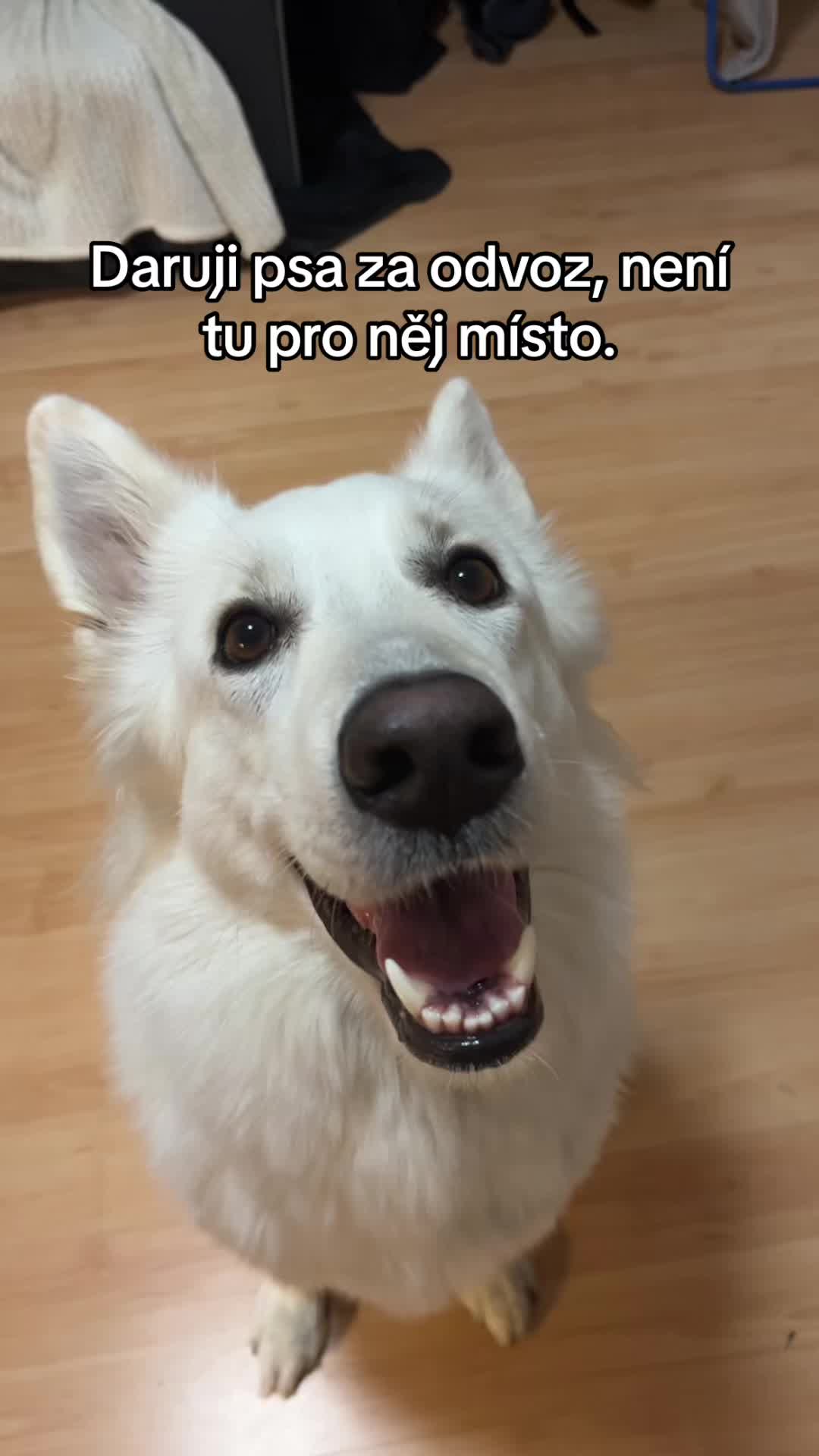 @Mia a Bety🤍