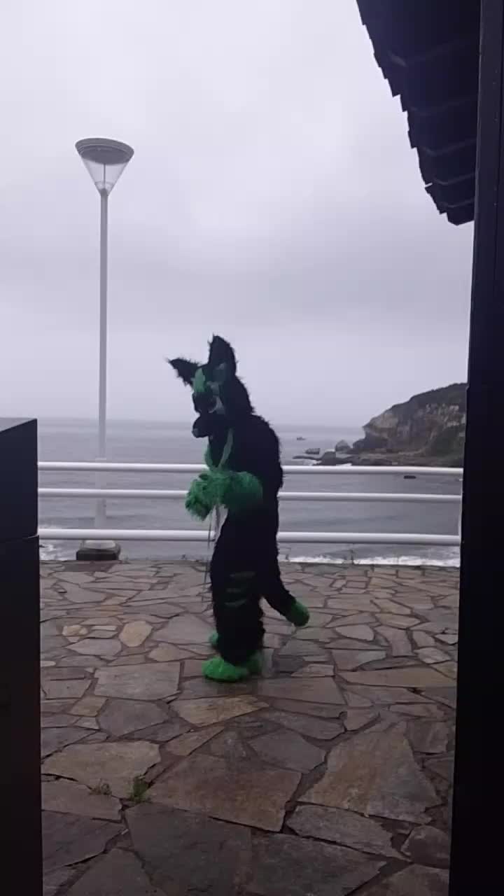 @baltowolf