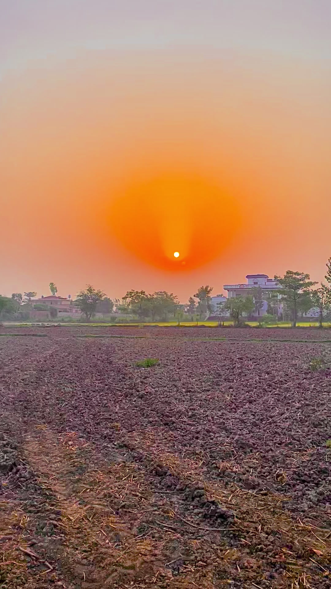 @Salman Ranjha