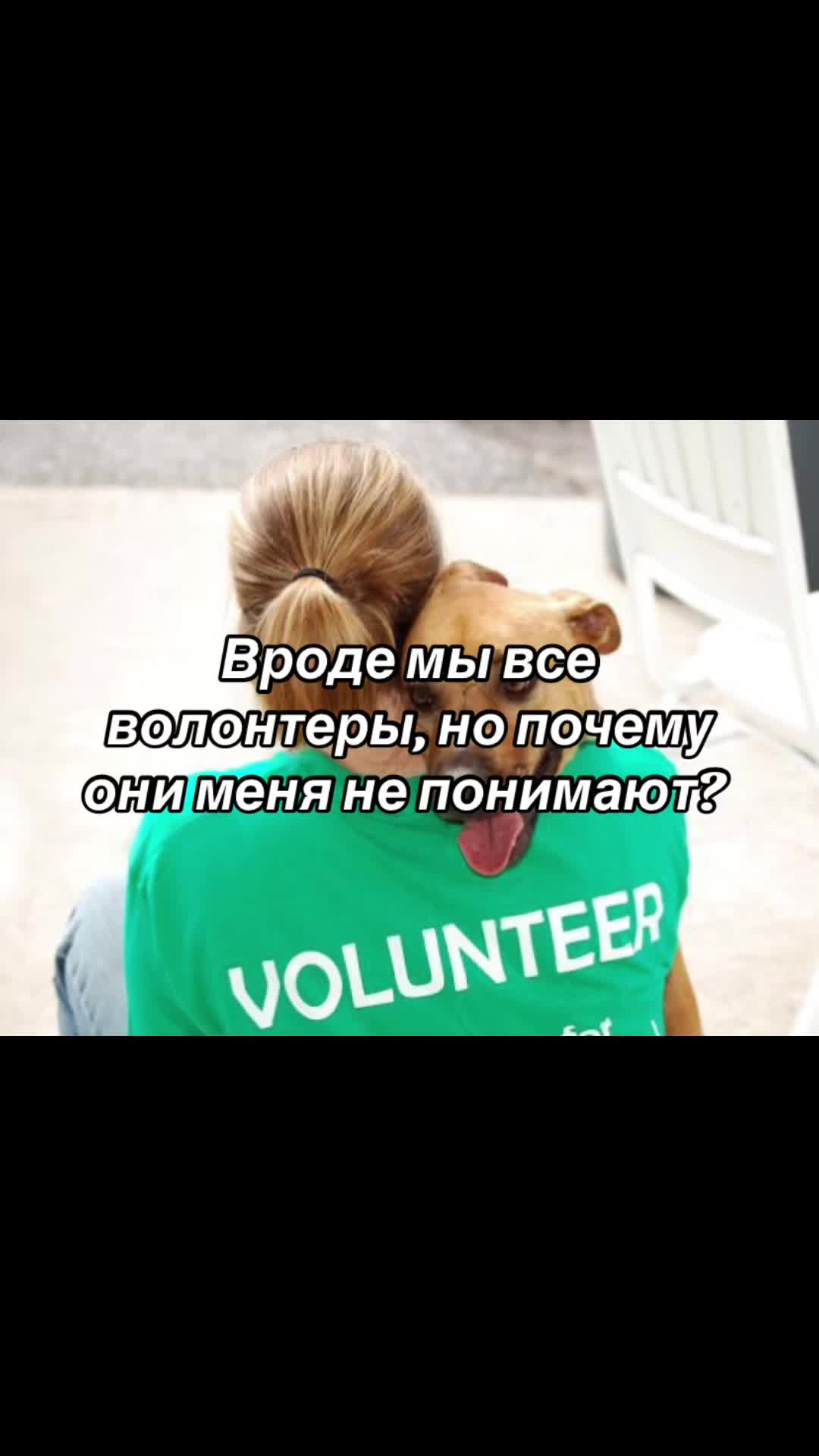 @Ульяна о собаках