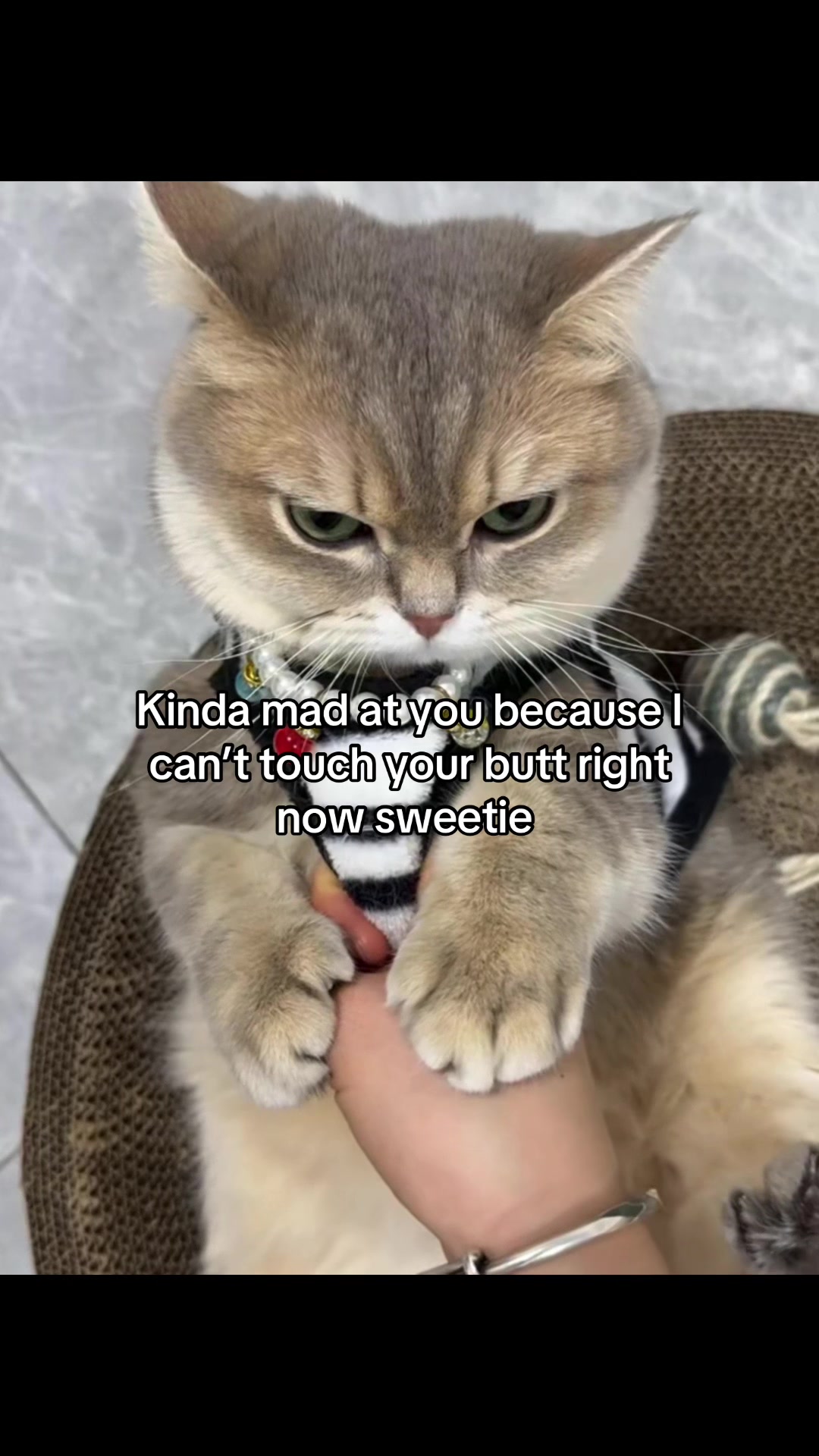 @Molly