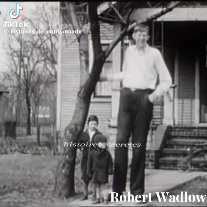 @Robert Wadlow