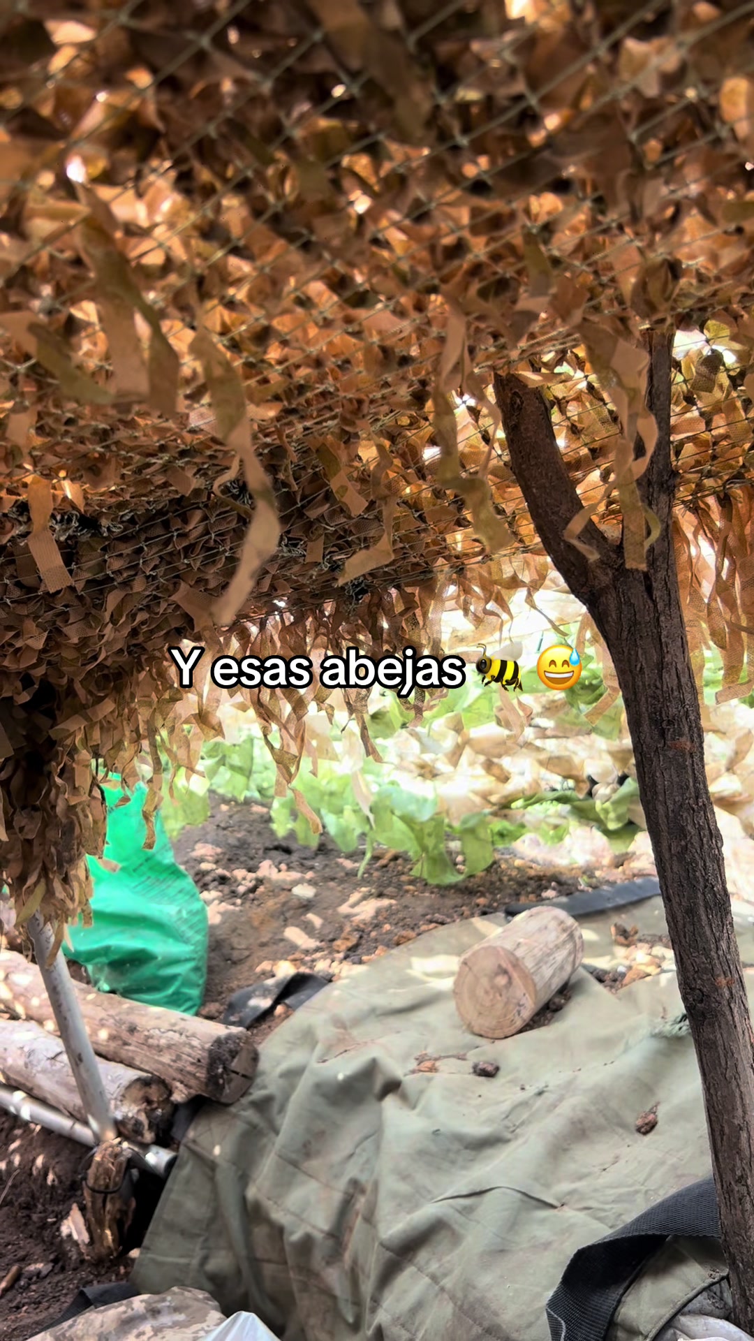 @Audel Rojas🇺🇦KARMA🇨🇴