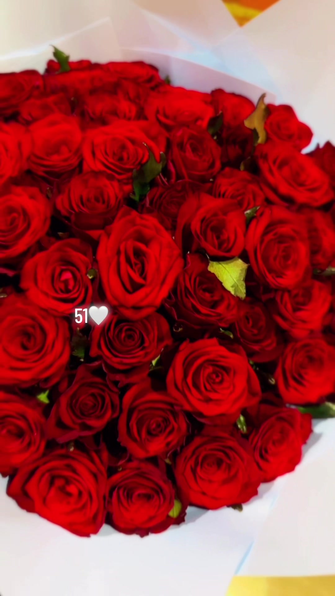 @Та самая 𝓞𝓭𝓮𝓼𝓼𝓲𝓽𝓴𝓪💋