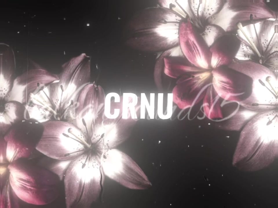 @𝓫𝓪𝓵𝓴𝓪𝓷𝓼𝓸𝓾𝓵