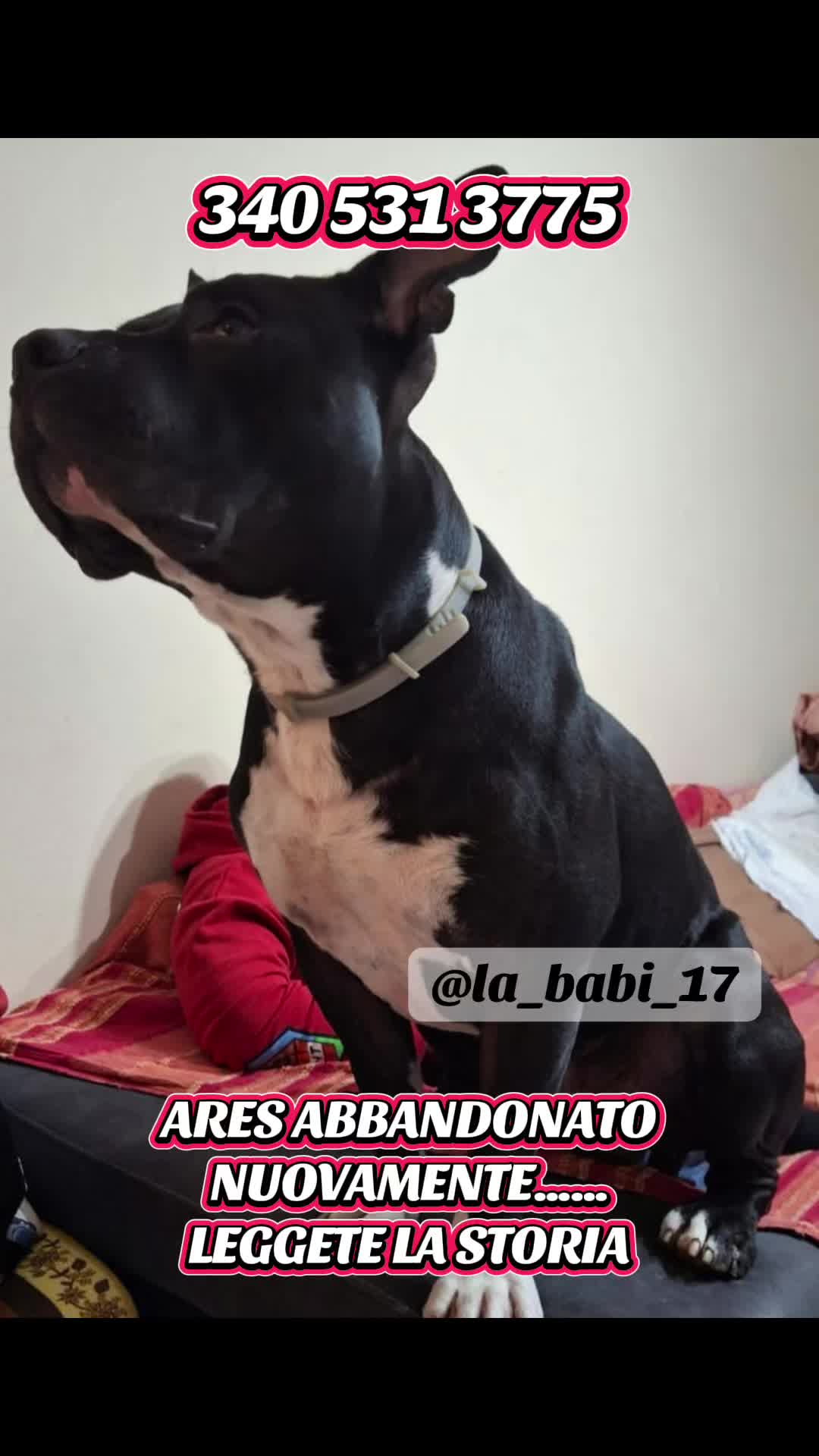 @la_babi_17