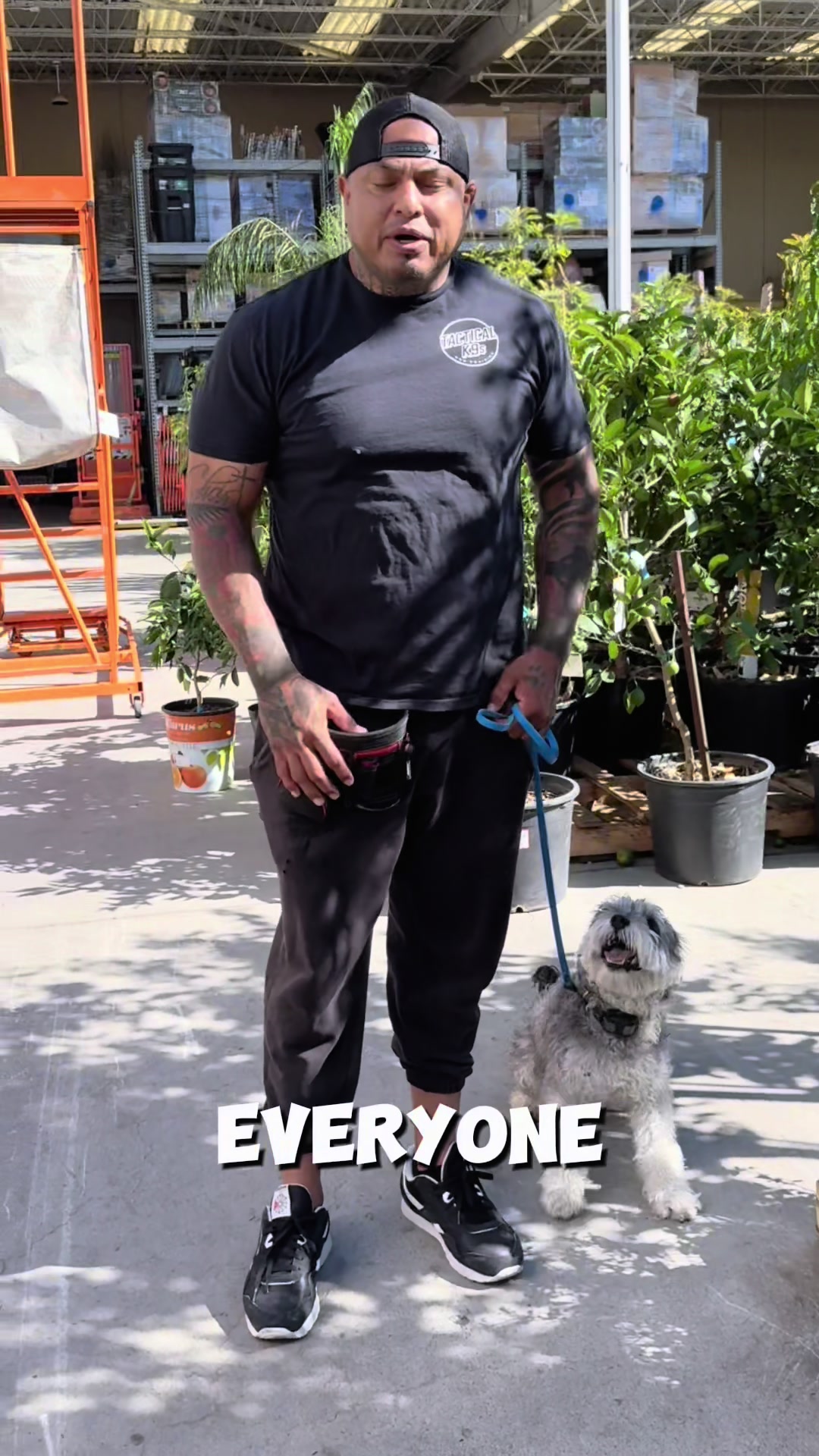 @Tactical K9s Dog Training