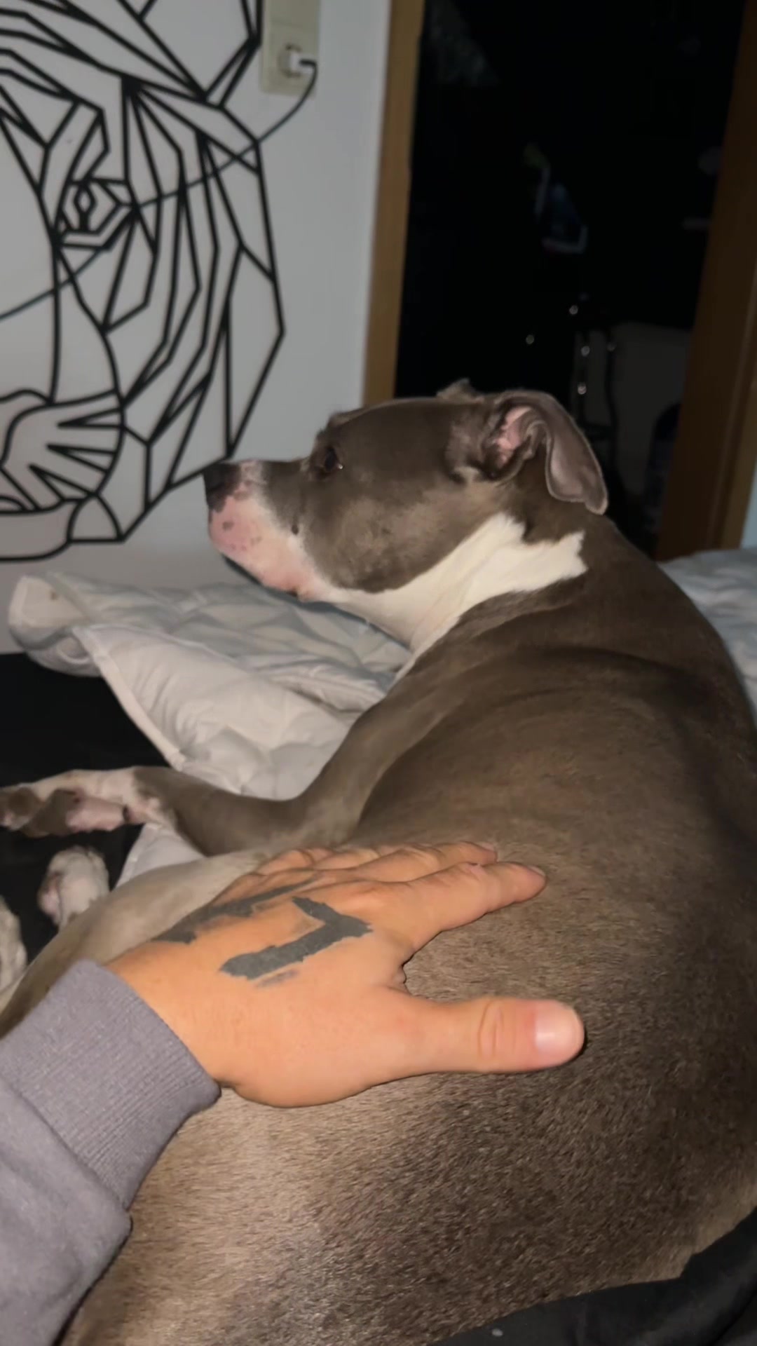 @Patric&Emma🐶