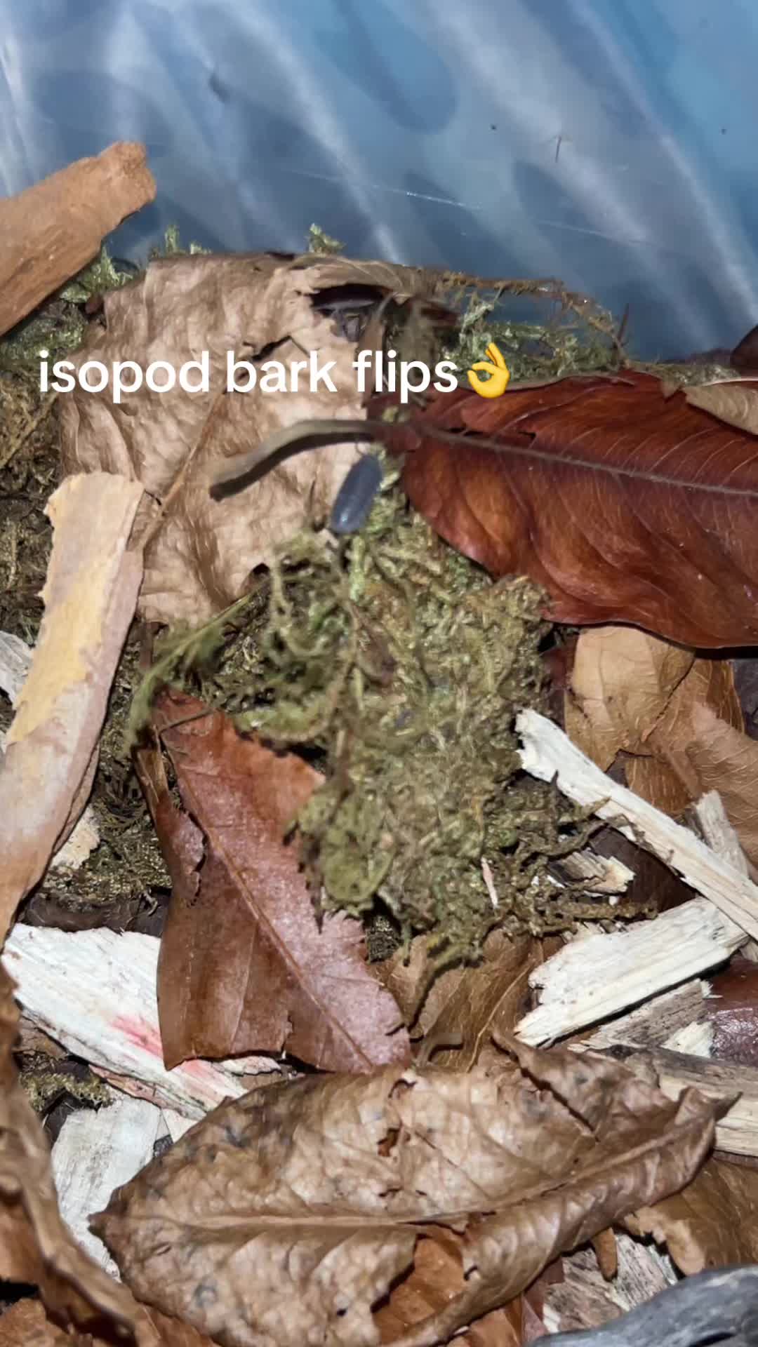 @💚