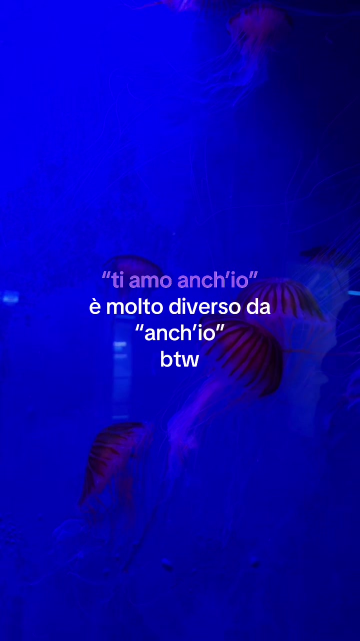 @Diego Premtaj