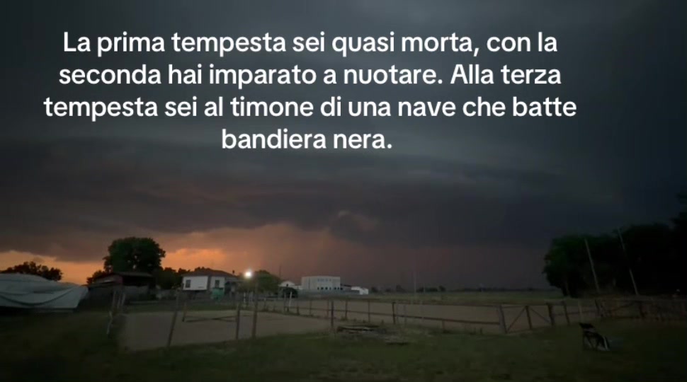 @Ponyclubilgattoelavolpe