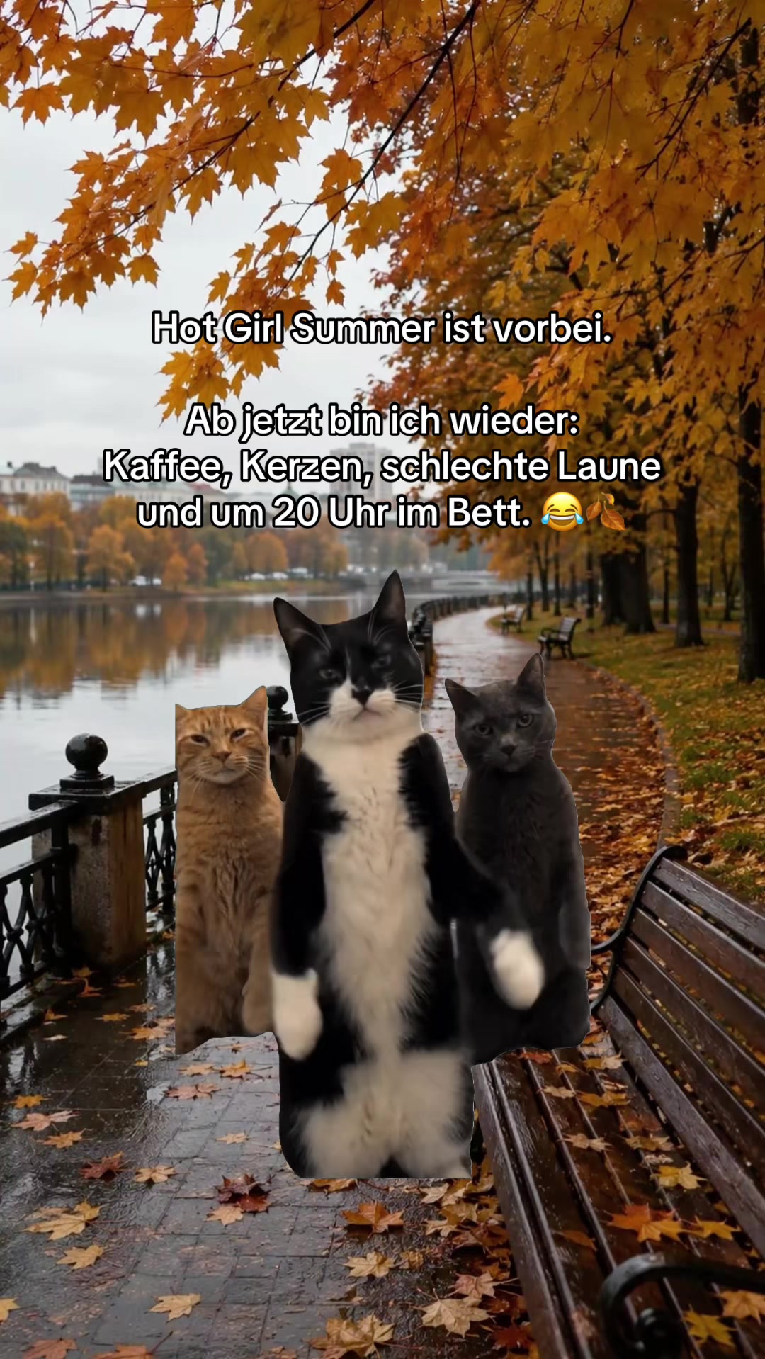 @mauskontert
