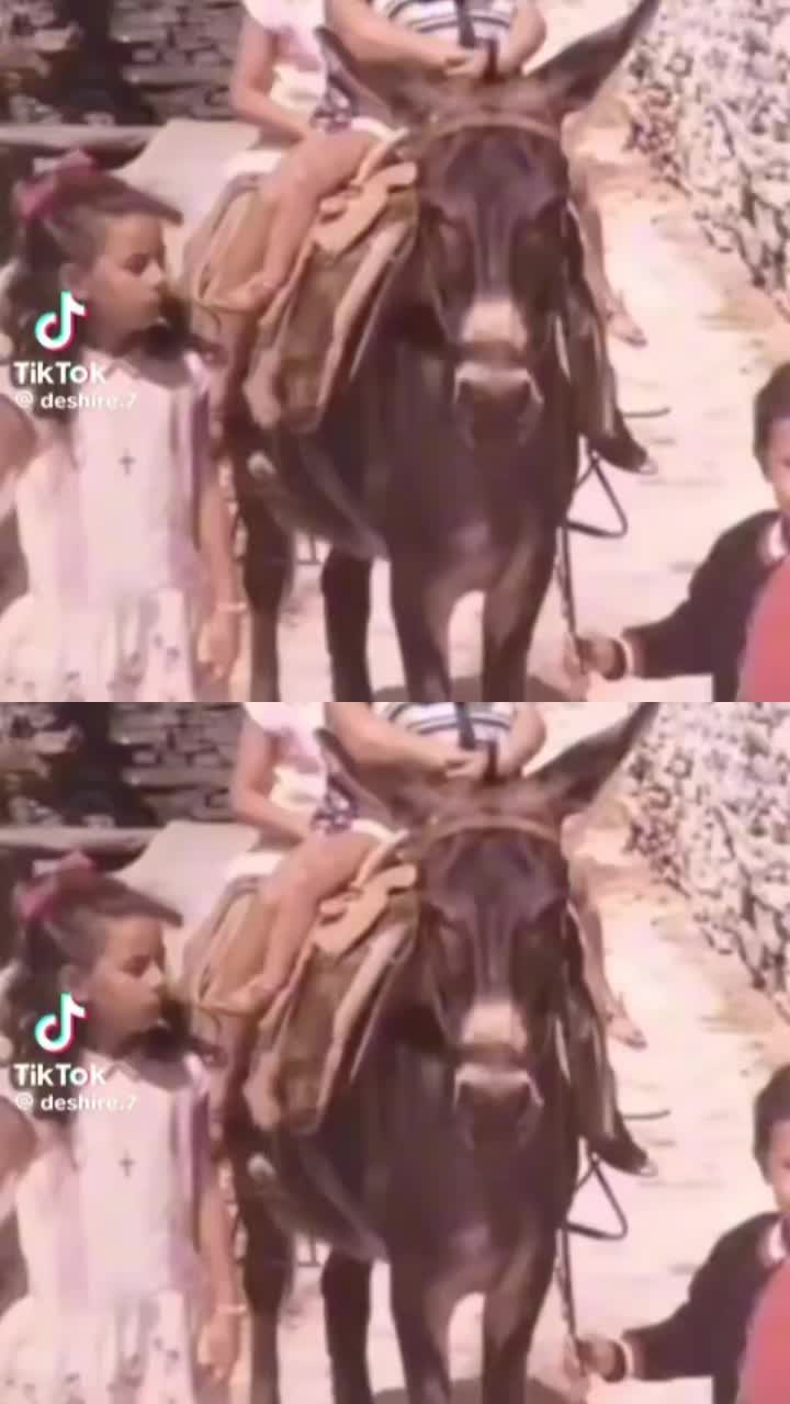 @erisa