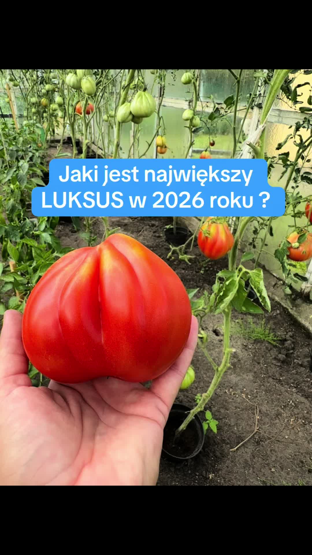 @Redukcja_Bez_Presji