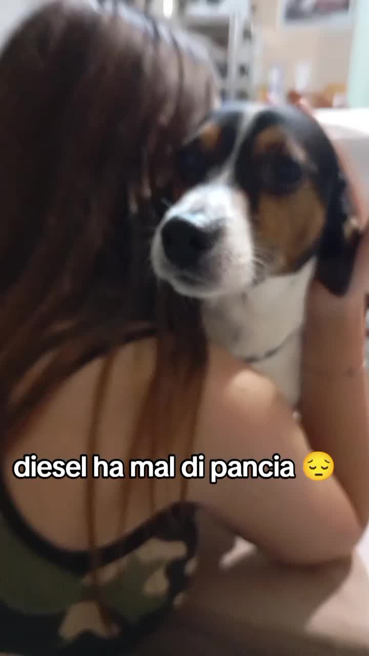 @dylan e diesel