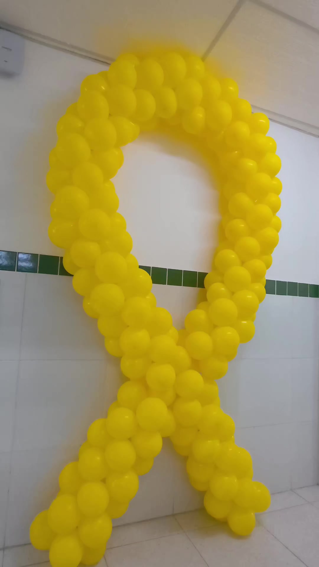 @Júnior Balões / Aracaju-Sergip