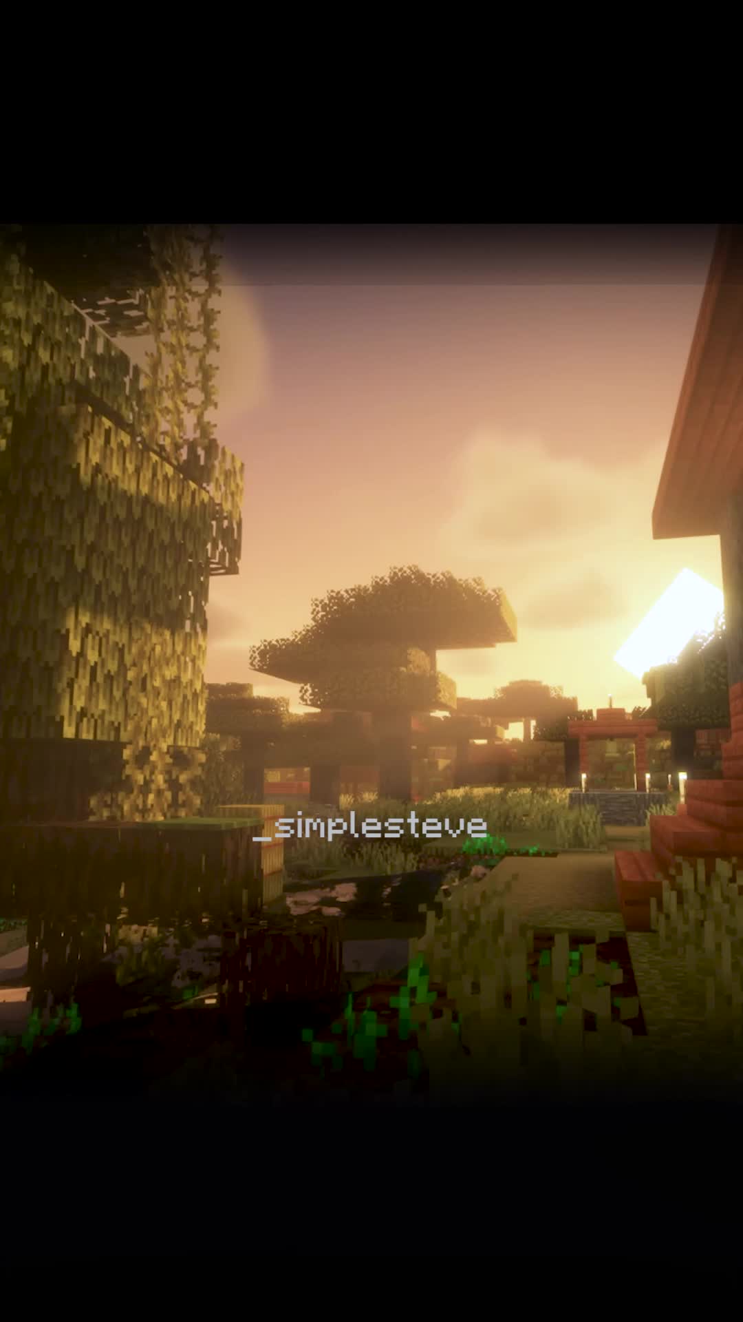 @_simplesteve