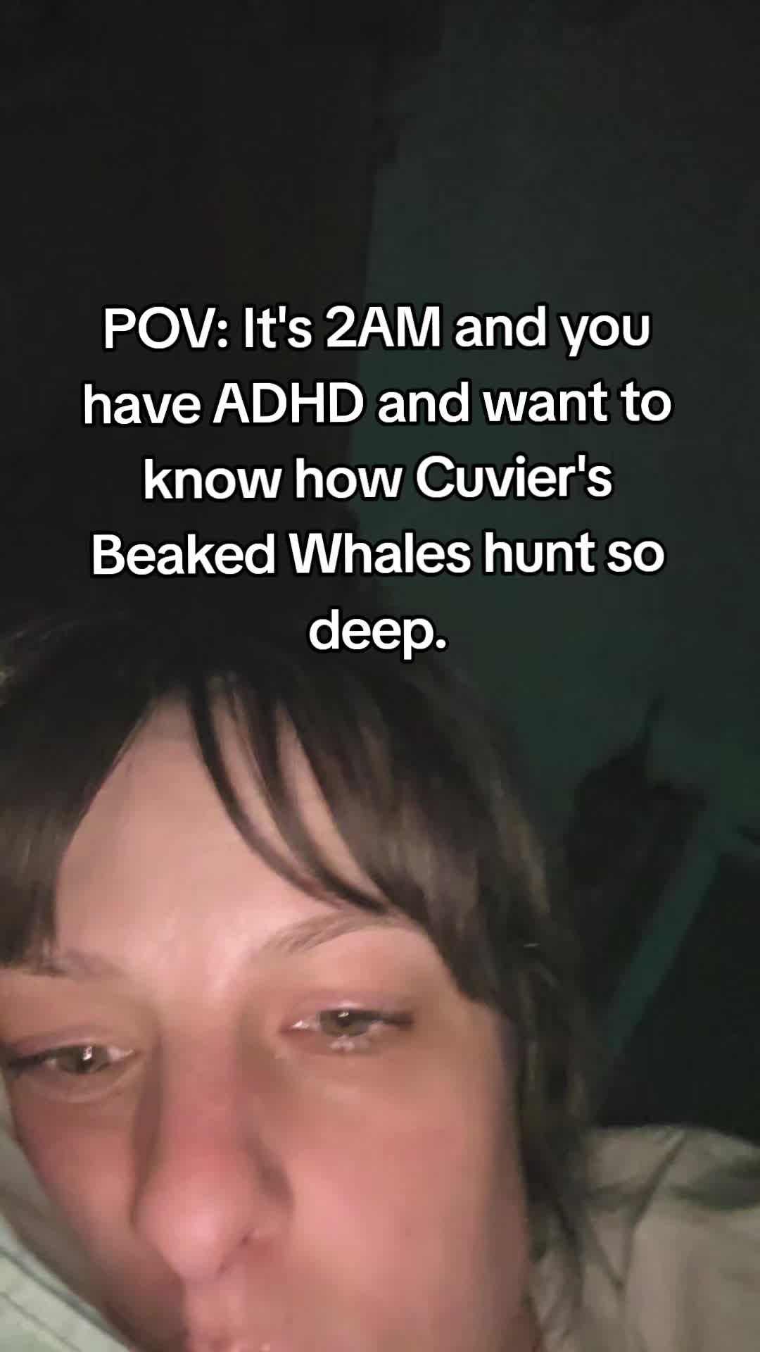 @Ali
