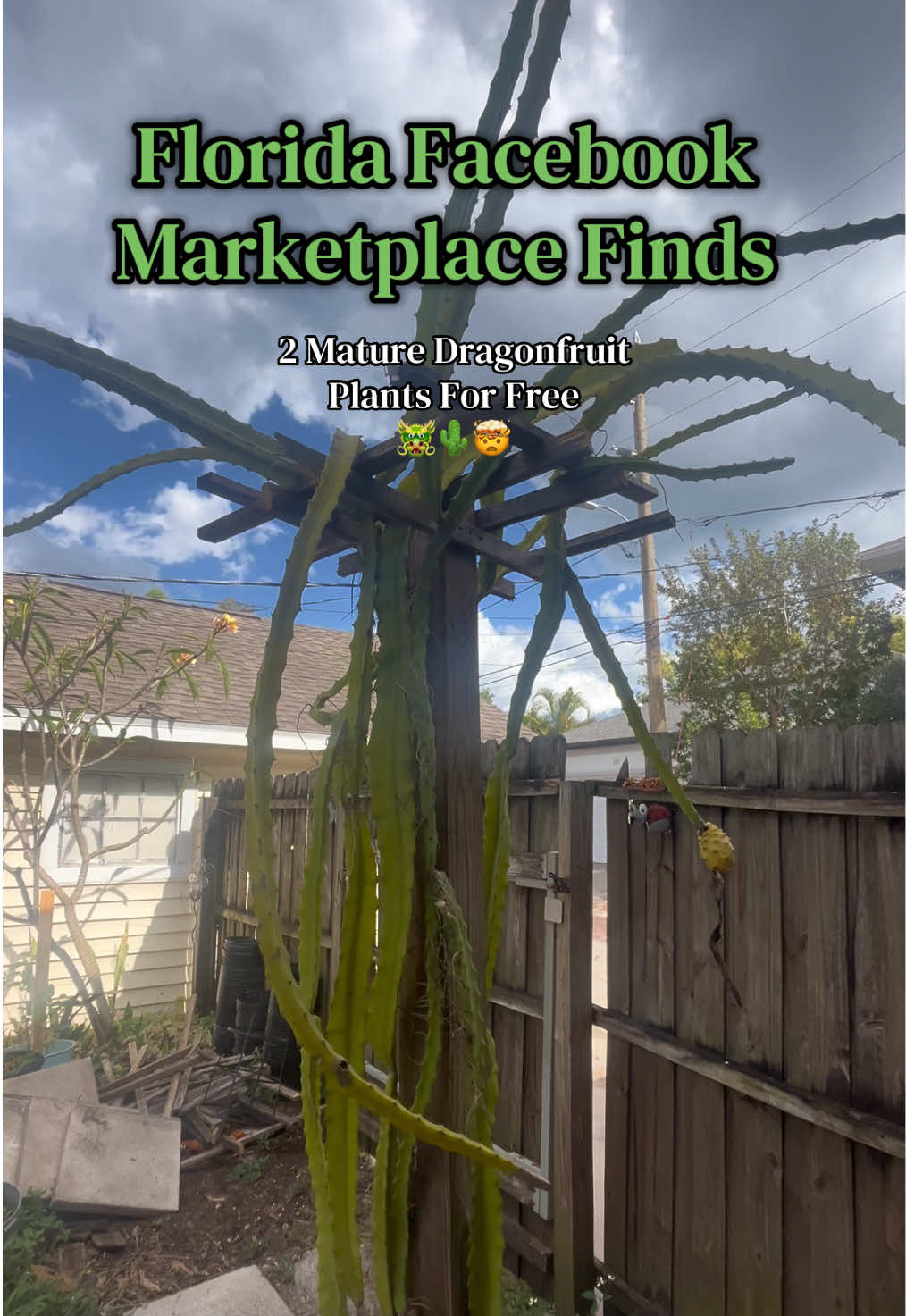@St Pete Barter & Trade