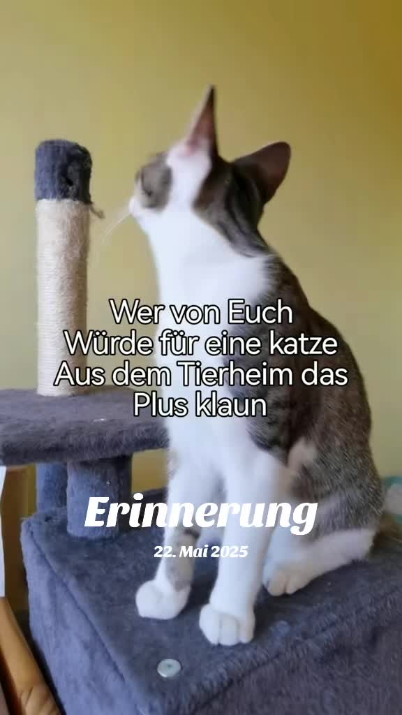 @juli🇩🇪🇺🇸🇷🇺